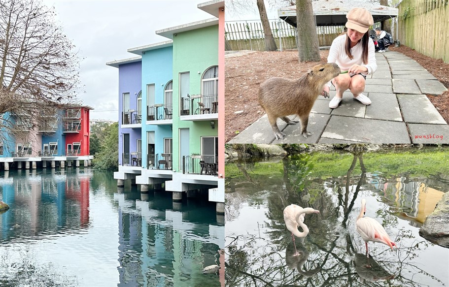 宜蘭冬山。水岸森林物語可愛動物園區，超過15種以上動物，近距離體驗互動餵食各種動物 @雯雯的玩樂地圖