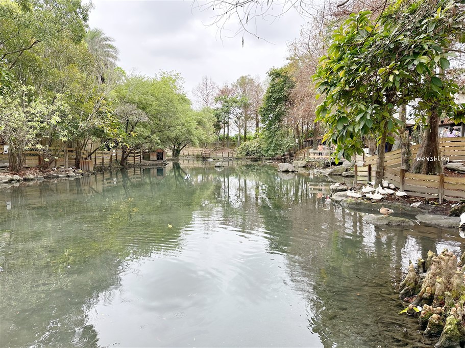 宜蘭冬山。水岸森林物語可愛動物園區,超過15種以上動物,近距離體驗互動餵食各種動物 @雯雯的玩樂地圖 宜蘭冬山。水岸森林物語可愛動物園區,超過15種以上動物,近距離體驗互動餵食各種動物 @雯雯的玩樂地圖