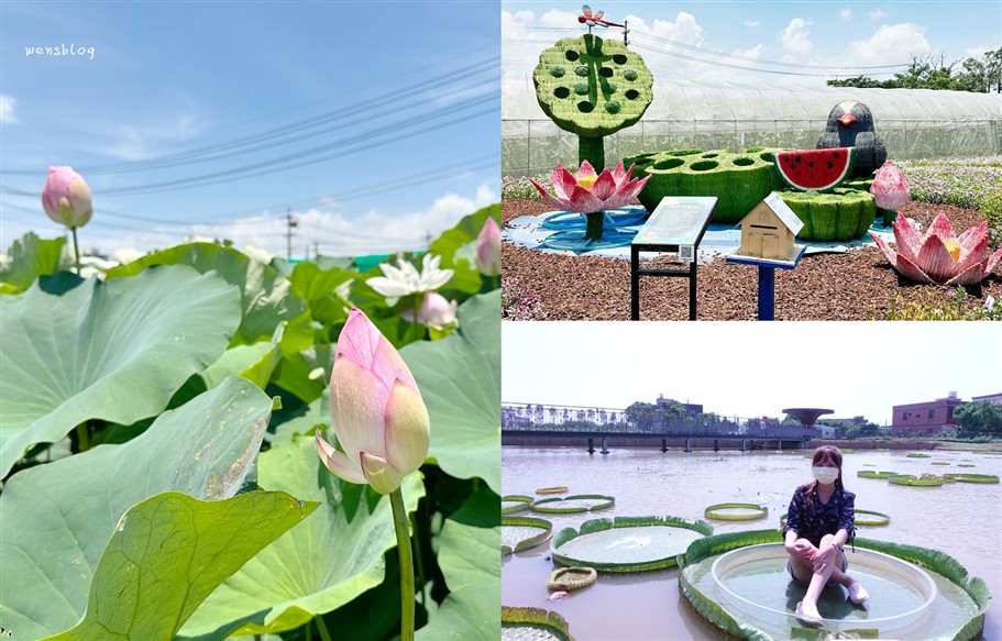 桃園觀音。2026桃園蓮花季，7/4~8/30開跑，賞花之餘還能體驗乘坐在大王蓮上輕功水上漂的感覺 @雯雯的玩樂地圖