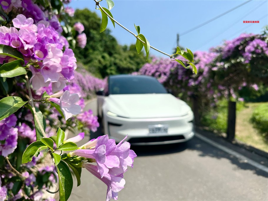 苗栗通霄。通霄蒜香藤步道,季節限定,夢幻紫色花瀑 @雯雯的玩樂地圖 苗栗通霄。通霄蒜香藤步道,季節限定,夢幻紫色花瀑 @雯雯的玩樂地圖