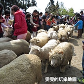 [懶人包]南投好好吃，好好玩~吃喝玩樂旅遊觀光景點&#038;美食&#038;住宿推薦介紹(105/8更新) @雯雯的玩樂地圖