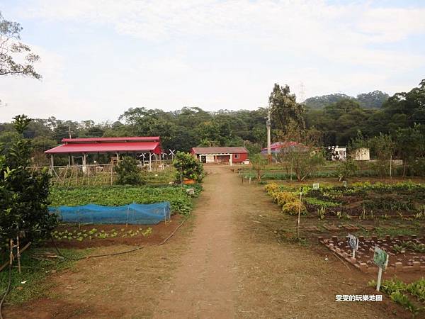 [桃園大溪]大溪花海農場~藏在花海中,有熊出沒/桃園旅遊/大溪旅遊景點/大溪慈湖/親子同遊/方便停車 @雯雯的玩樂地圖