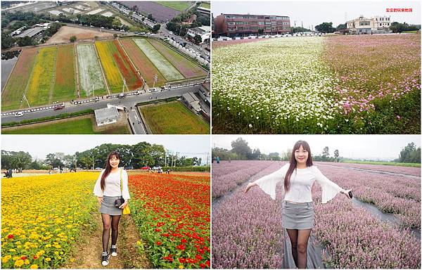 桃園楊梅景點。2018桃園花彩節楊梅場，漸層色帶花田、如薰衣草般夢幻仙草花田必拍 @雯雯的玩樂地圖