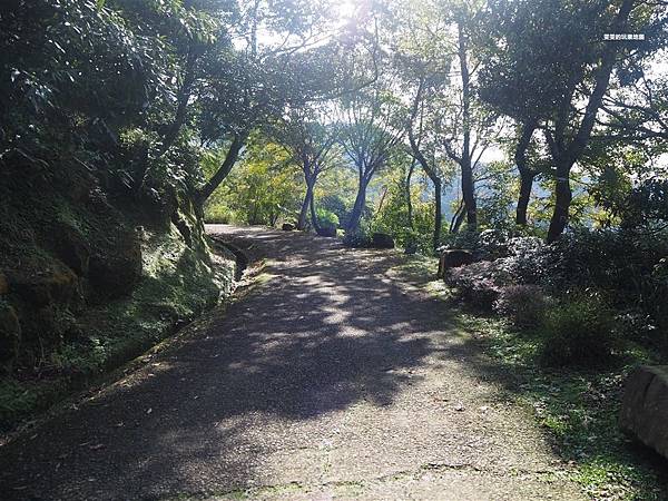 新北三峽景點。熊空茶園,漫步在茶香步道裡,海拔700公尺裡的秘境茶園 @雯雯的玩樂地圖