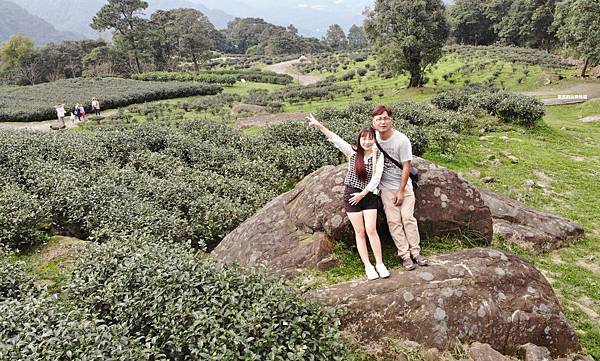 新北三峽景點。熊空茶園,漫步在茶香步道裡,海拔700公尺裡的秘境茶園 @雯雯的玩樂地圖