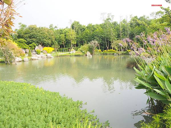 雲林虎尾景點。澄霖沉香味道森林館，有台版兼六園之稱，日式庭園、泉池造景讓人彷彿置身在日本 @雯雯的玩樂地圖