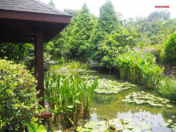 新竹。黛安莊園，座落在田園間的歐風異國風情莊園 @雯雯的玩樂地圖