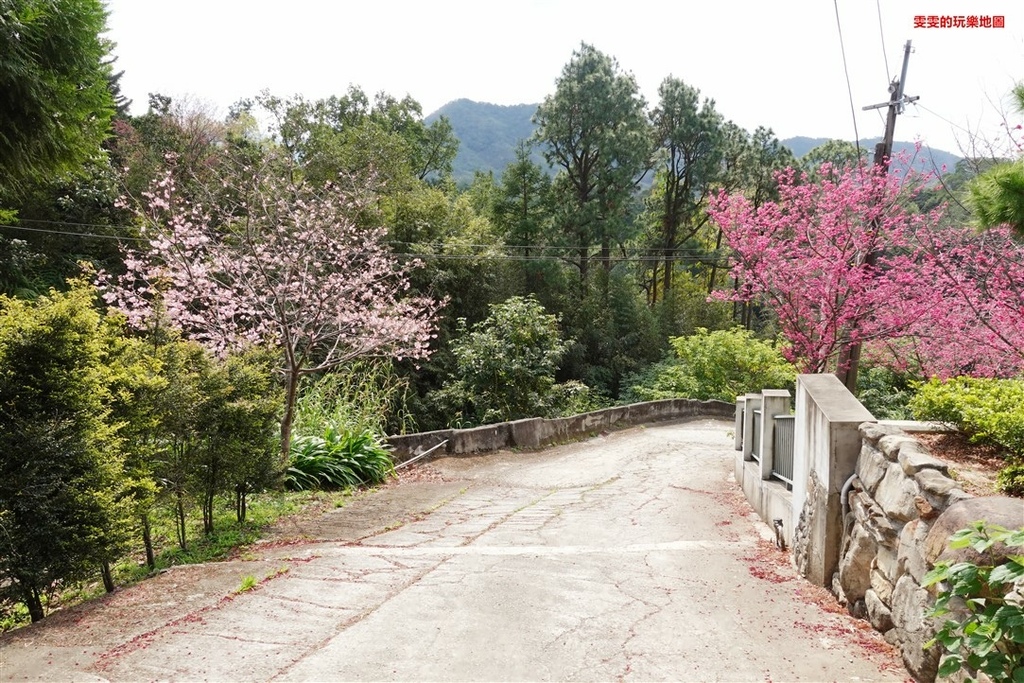 桃園復興。山水奇異民宿景觀餐廳,台七線北橫公路上帶有異國風情的景觀餐廳 @雯雯的玩樂地圖