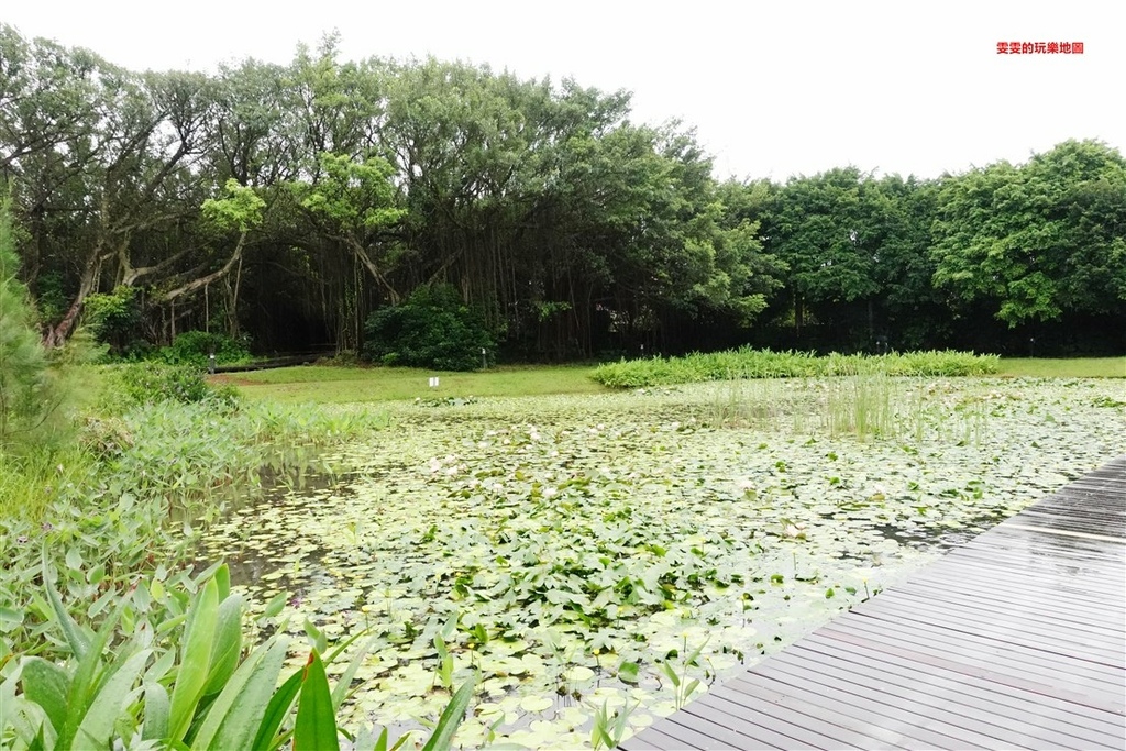 桃園觀音。崙坪文化地景園區、好客食堂，親近大自然的好去處 @雯雯的玩樂地圖